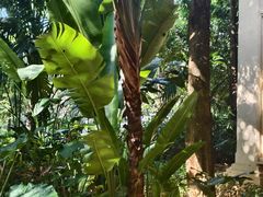 -西双版纳融创皇冠假日度假酒店