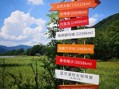 -大九湖