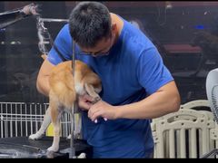 -宠宠熊宠物美容(星湖街店)