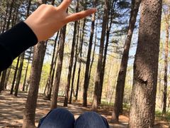 -沈阳植物园