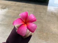 -鱼上·烤鱼(万象城店)