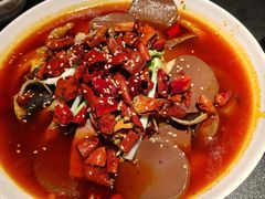 毛血旺烤鱼-辣尚瘾·烤鱼·新川菜(牡丹园直营店)