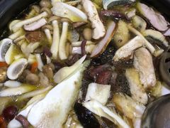 -菌之家·专业纯野生菌火锅·特色炒菌