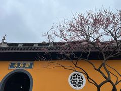 -无锡梅园公园