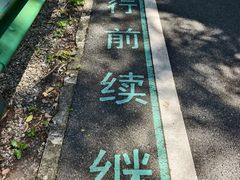 -佛山市三水区大南山森林公园