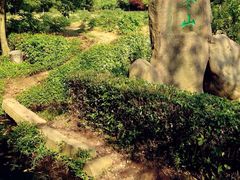 -白马涧龙池景区