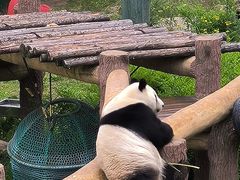 -沈阳森林动物园