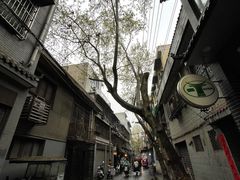 -老字号贾家肉丸糊辣汤(光明巷店)