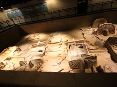 -洛阳周王城天子驾六博物馆