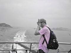 -长岛万鸟岛