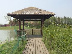 -白马涧龙池景区
