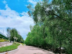 -宝安西湾红树林湿地公园