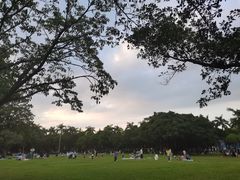 -万绿园