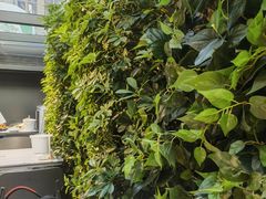 -巴厘龙虾·榜首油焖大虾(洞庭·艺术洋房店)