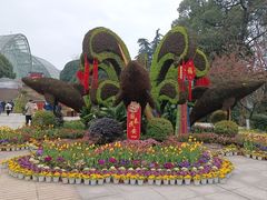 -南山植物园