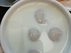 水牛奶汤圆-民信老铺(双皮奶博物馆店)