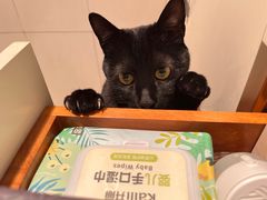 -总动员动物医院(宝丰院店)