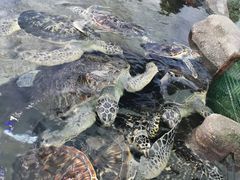 -鸿通城购物中心