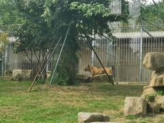 -上方山森林动物世界