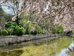 -元大都城垣遗址公园