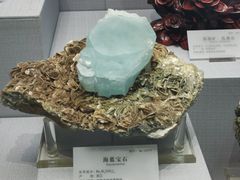 -湖南省地质博物馆