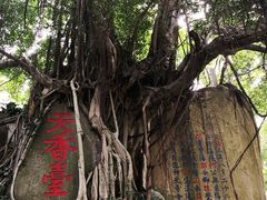 -乌山风景区