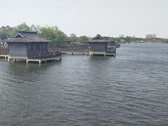 -杭州湾海上花田景区