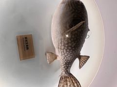 -陕西自然博物馆