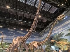 -自贡恐龙博物馆