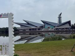 -盐城丹顶鹤湿地生态旅游区