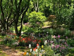 -上海共青森林公园