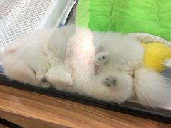 -百盛(莘庄店)