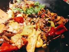 -食乐佳麻辣香锅(森林摩尔商业街区店)