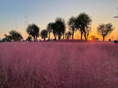 -汉长安城未央宫国家考古遗址公园