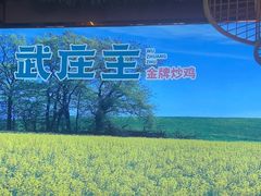 -武庄主特色炒鸡(周恩来纪念馆店)