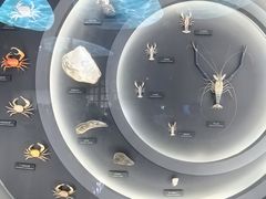 -中国湿地博物馆