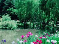 -上海滨江森林公园