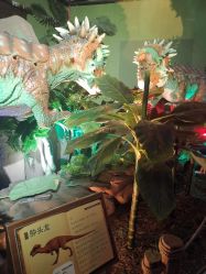 点击看大图 -恐龙探索乐园(磁器口店)