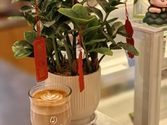-Beans Solo豆号咖啡(百家湖花园店)