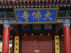 -张掖大佛寺景区