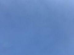 -山沟沟羊小馆&烤全羊羊肉汤(麦岛店)