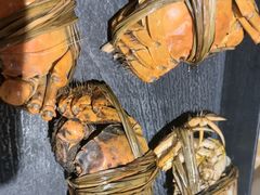 -雍容荟活帝王蟹活龙虾自助(苏宁旗舰店)