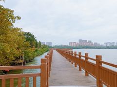 -艾溪湖湿地公园