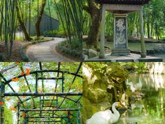 -兰亭风景区