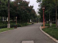 -眉山湿地公园(东坡区)