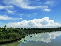 -大湾区中央湿地公园