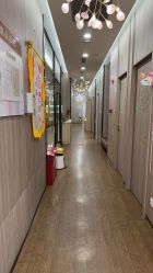 -睿宝儿科·眼科·口腔(静安大悦城门诊部)