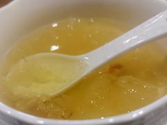 -梵猫·新养生(湛江鼎盛店)
