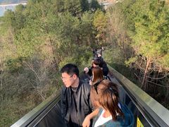 -千岛湖天屿景区
