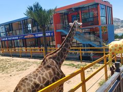 -西霞口神雕山野生动物世界